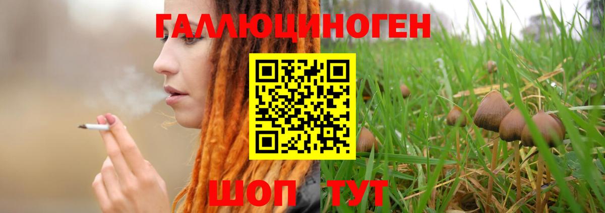 Галлюциногенные грибы GOLDEN TEACHER Ноябрьск